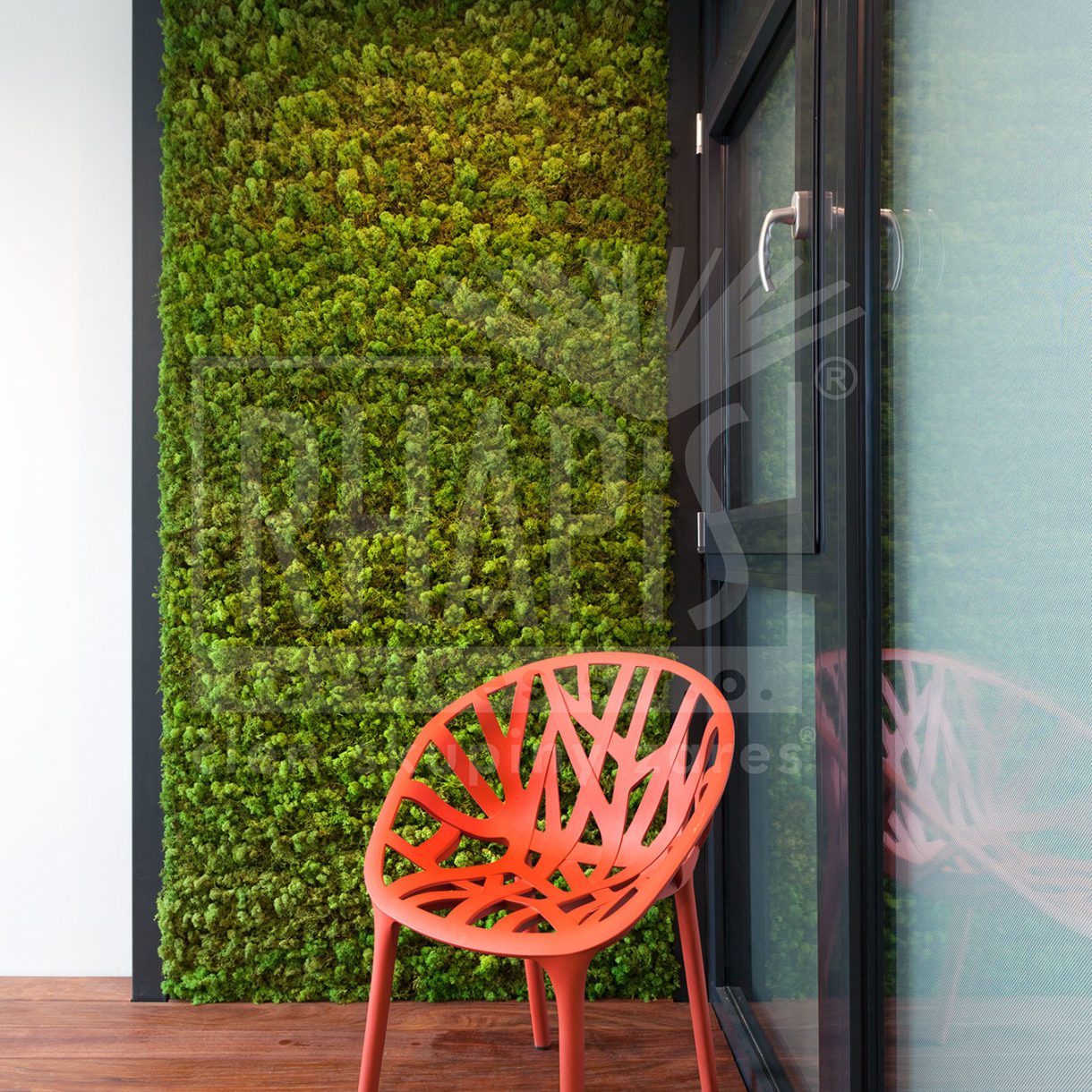 Moss green walls